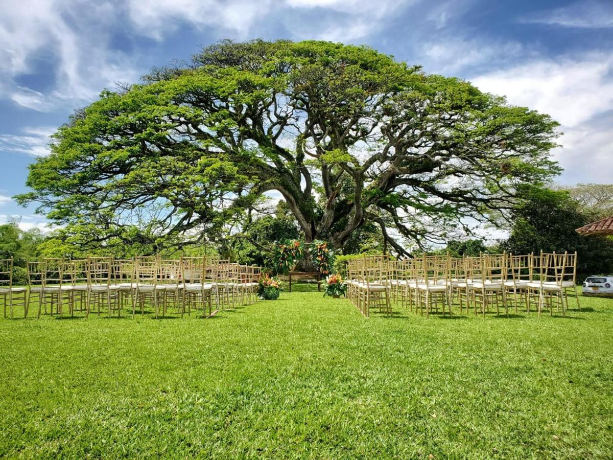 Hacienda El Saman Villa Quimbaya Eksteriør bilde