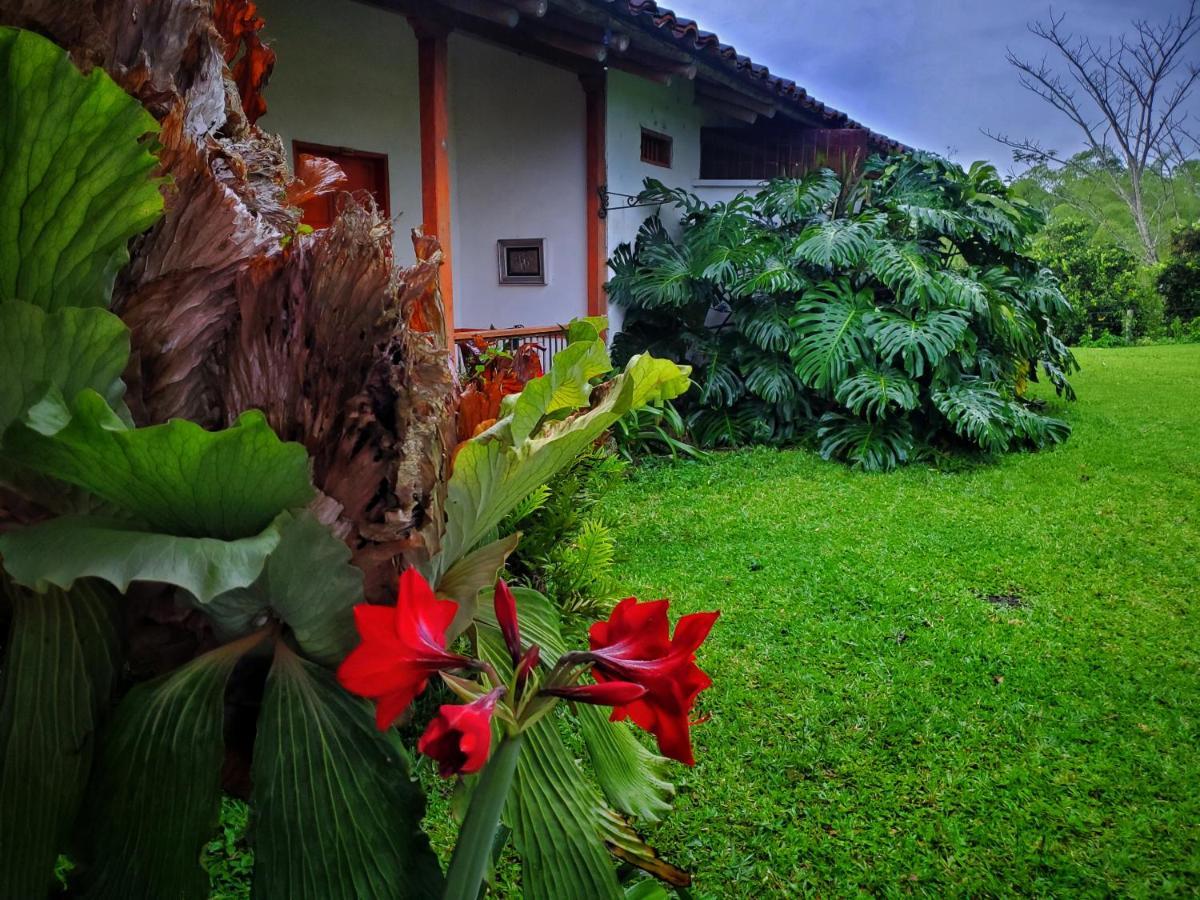 Hacienda El Saman Villa Quimbaya Eksteriør bilde